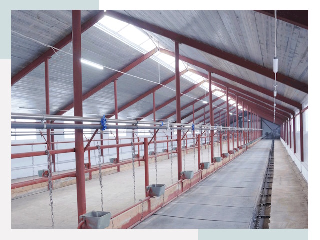 Строительство коровников в Феодосии от 609 руб.