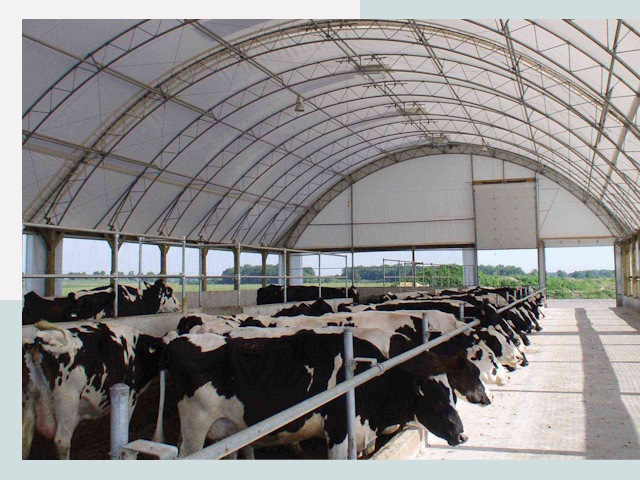 Тентовые коровники в Феодосии